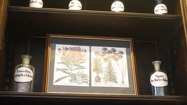Historisches Regal mit Apothekerflaschen und Schild Eigene Herstellung
